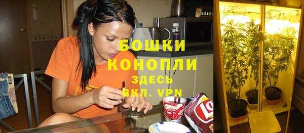 соль ск Арсеньев